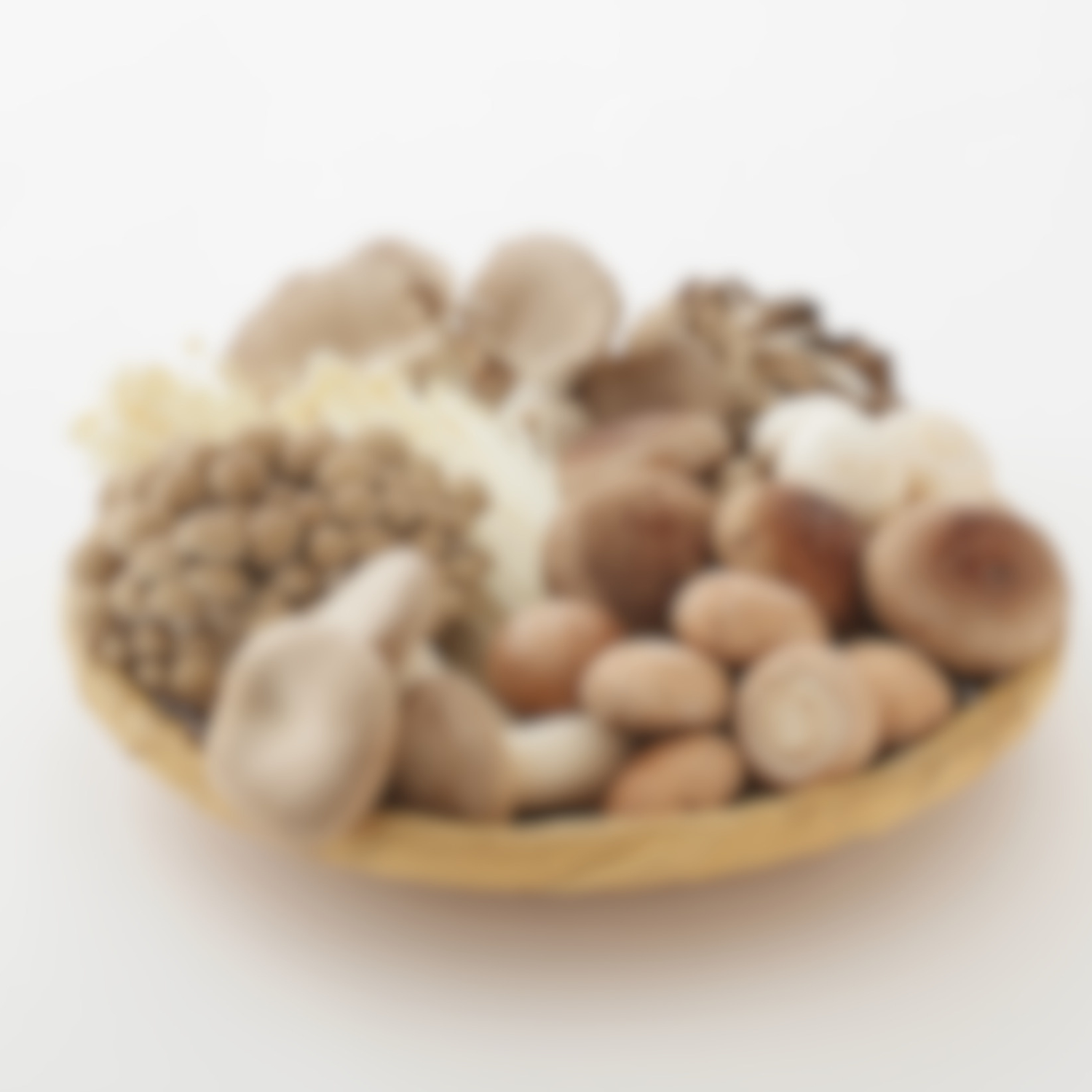 Functional Mushrooms