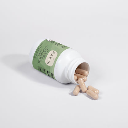 Chaga Mushroom